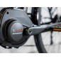 Rower TREK Verve+ 2