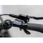 Rower TREK Verve+ 2