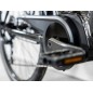 Rower TREK Verve+ 2